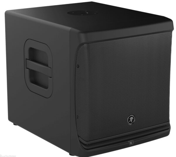 Mackie DLM12s