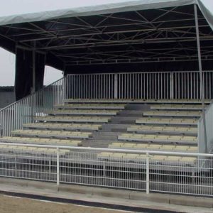 Mobil Tribune